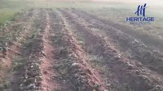 My FAILED sweet project farming in RURAL Zimbabwe (2024)