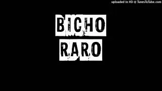 3 - El conflicto - Bicho Raro