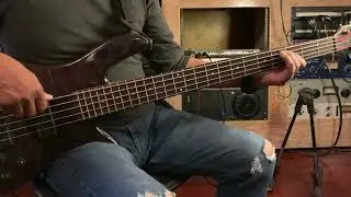 My All  _ BassCover  RayBassman @SaraStudio