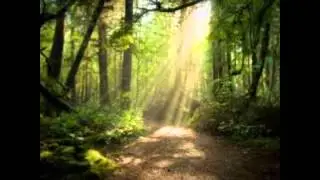 Walk With You Ahaya/ by Fred & The Genius AHAYA(Praising in Spirit & Truth Music)
