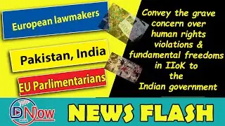EU lawmakers urge EU action on 'alarming humanitarian situation' in Indian-occupied Kashmir II DNOW
