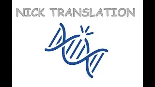 Nick Translation