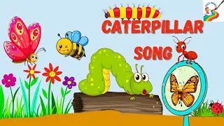 Caterpillar Song for Kids | Nursery Rhymes
