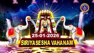 Chinnasesha Vahanam || Rathasapthami || Tiruchanoor || SVBC2 Tamil || 25-01-2026 || SVBC TTD
