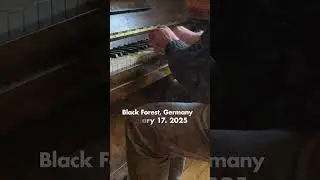 Evgeny Alexeev - Echoes of the Source | Live composed and performed in Herrischried, Germany