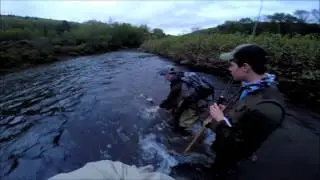 West Branch of the Delaware River, Fly fishing for Brown trout