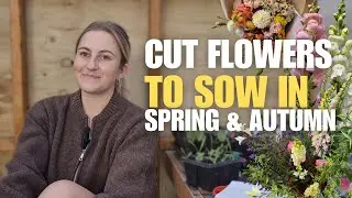 Cut Flowers To Sow In Spring & Autumn! Cold Hardy Flowers.