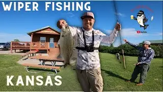 Unbelievable Kansas Wiper Fishing: You Won't Believe What We Caught!