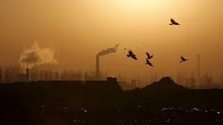 The Climate Adaptation Summit