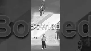 world of cricket game
