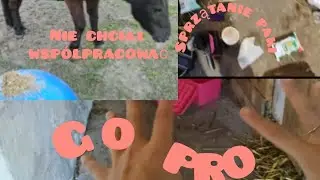 Sprzątanie paki ! Vlog z go pro / Kuba nie chciał trenować 😱😥