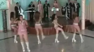 rata inmunda - las nenas de portoviejo