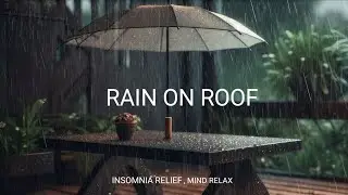 40 MINUTES of Rain on Roof Sound | Perfect White Noise for Deep Sleep & Relaxation