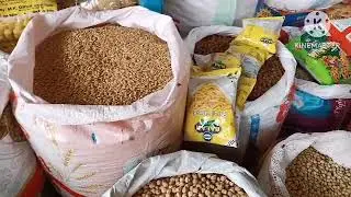 Probashi Bangali Vlog, Amar Prohor Surat Gujarat India, Daily Life Vlogs,