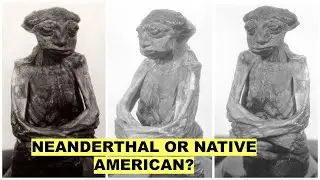 Mystery of the San Pedro Creature Found In A Wyoming Cave&ndash;Mummy So  Bizarre No One Knows What It Was