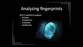 Fingerprint training 1