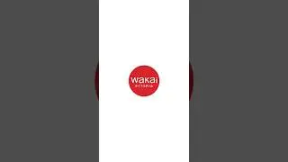 Wakai Shoes B-Roll: Fashion Meets Comfort!