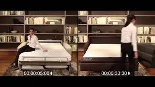 Natuzzi Editions Sleeper