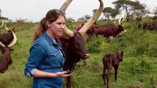 Dr. Laura Anne Kutryk Volunteer Profile