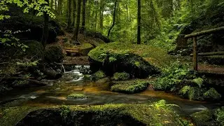 Mood Enhancing Waterfall Sounds | Boost Alertness For Wipes Out All The Stress