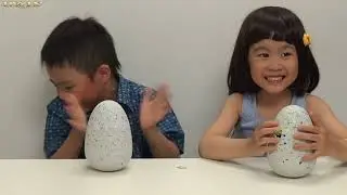 HATCHIMALS Surprise Egg Opening! Kids Toy Review