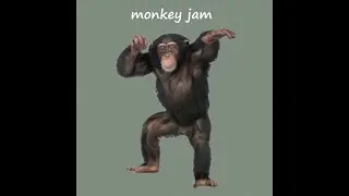 monkey jam ( full album )