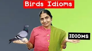Birds Idioms🐥🐦🦜| Idioms and phrases | vocabulary building | Basic English Grammar Learning