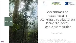Marius Ruwet - Mécanismes de résistance à la sècheresse et adaptation d'espèces ligneuses tropicales