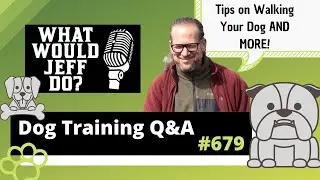 Dog Training Q&A - Walking Dogs - Nervous Dog Training - What Would Jeff Do? Ep.679 (2020)