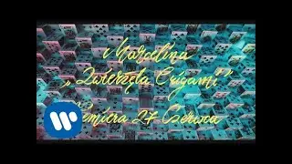 Marcelina - Zwierzęta Origami (Official Video)