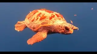 Cinematic Kayak fishing#1: Enter Cavo, &Pi;&epsilon;&iota;&rho;&alpha;&tau;&epsilon;ί&alpha; &chi;&rho;&omega;&mu;ά&tau;&omega;&nu; &sigma;&tau;&omicron; &pi;&iota;&omicron; ά&gamma;&rho;&iota;&omicron; &alpha;&kappa;&rho;&omega;&tau;ή&rho;&iota;&omicron;.