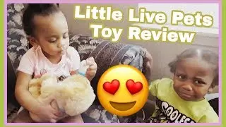 Little Live Pets Snuggle My Dream Puppy Toy Review!