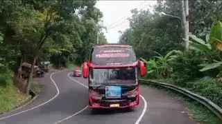 Bus artos basuri Mariobross GM trans,Aventador,moviestar,cebekjaya#busartis#bustelolet#teloletbasuri