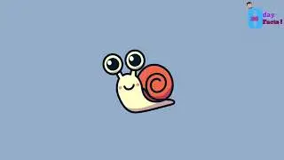 Kids fun fact- Snails Slepp zzz