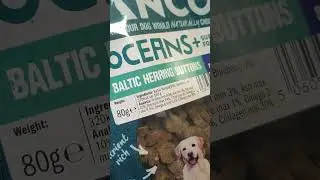 anco ocean dog treats #toppetgift #dogtreats #anco #dog #puppy #dogfood