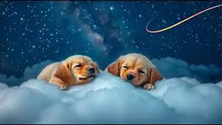 💤 Baby Bedtime Music 🎵  Relaxing Lullabies  3+ Hours