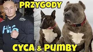 NAJLEPSZY TRENER PS&Oacute;W | CYCU & PUMBA | ARTUR SZPILKA