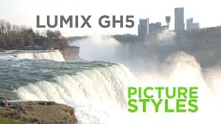 Panasonic Lumix GH5 - Picture Styles (Sample Footage)
