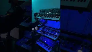 Analog Synth Jamming #mikedean #synth #synthesizer #producer