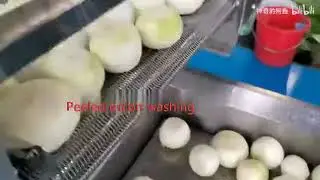 Барботажная мойка овощей и фруктов с нежной кожурой Vega BW 3400