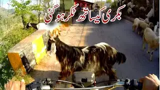 Abbaspur to berhi gali road trip