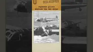 The Oiler That Refused to Sink at Coral Sea, USS Neosho | #history #shorts #story #fyp
