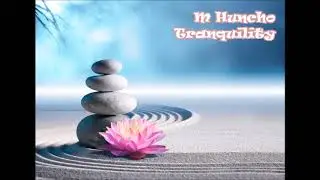 M Huncho - Tranquility (432Hz)