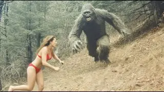Real Bigfoot Attacks That Hunters Refuse to Speak About
