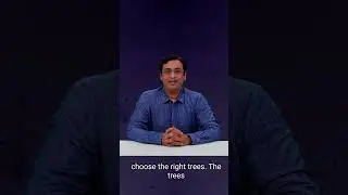The Most Important Hack to Enhancing Reforestation Projects: Choose the Right Trees | Marketing | AI