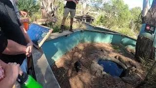 Bonarong Tasmanian Devil