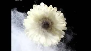 Guy Gerber feat. Clarian North - Running Through The Night
