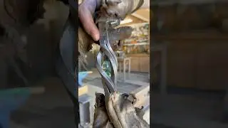 Forged Iron and Glass | An Unlikely Pairing of Timeless Excellence