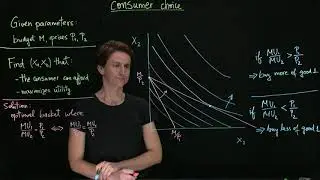 Consumer choice (utility maximization)