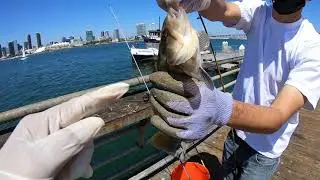 I Love Fishing! Fishing At The Coronado Pier!